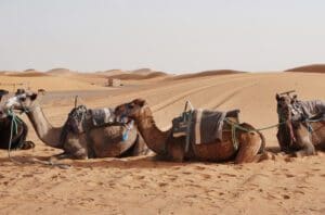 morocco