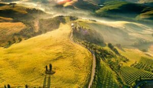 the-adventurous-ewe-tuscany