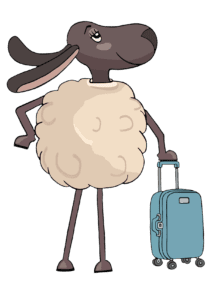inquisitive-ewe