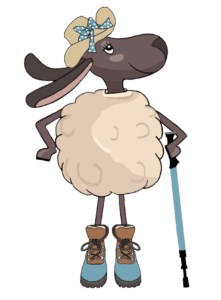 the-adventureous-ewe-walking