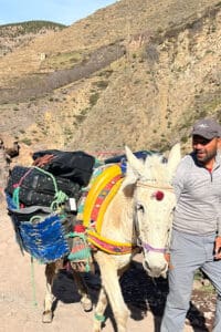 atlas-mountains-morocco-mule
