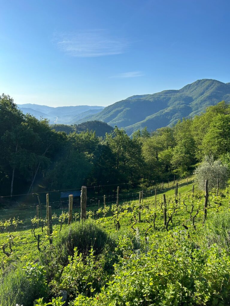 tuscany-tour-2024