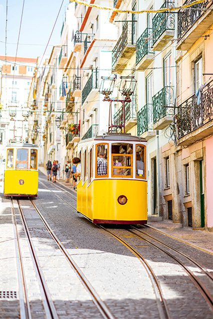 almafa-lisbon