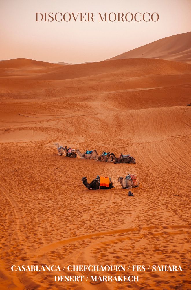 Morocco 1 morocco